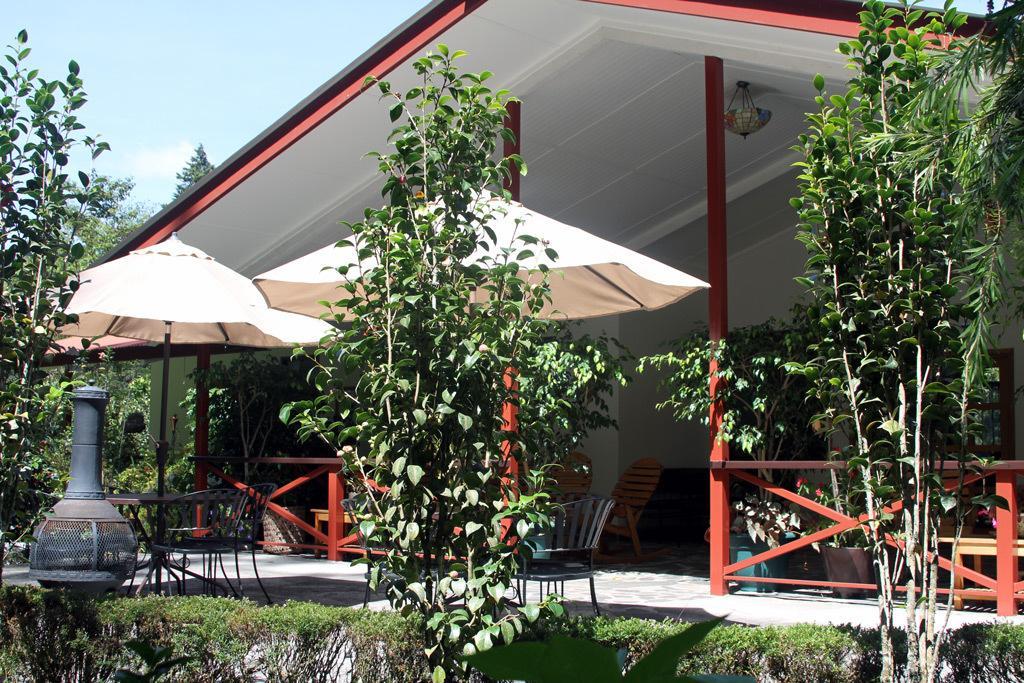 Cielito Sur Bed & Breakfast Inn Cerro Punta Eksteriør bilde